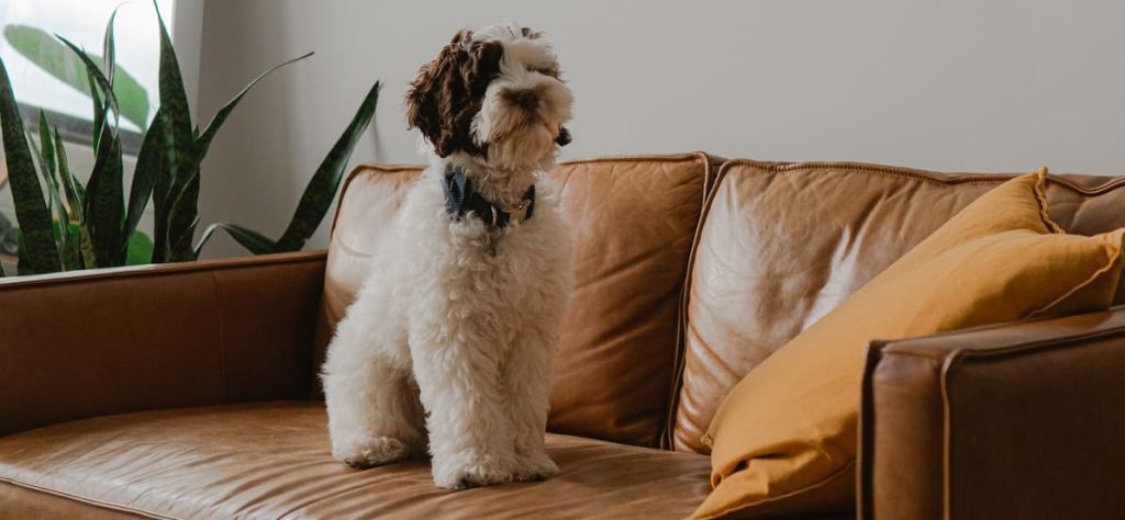 faux leather sofa